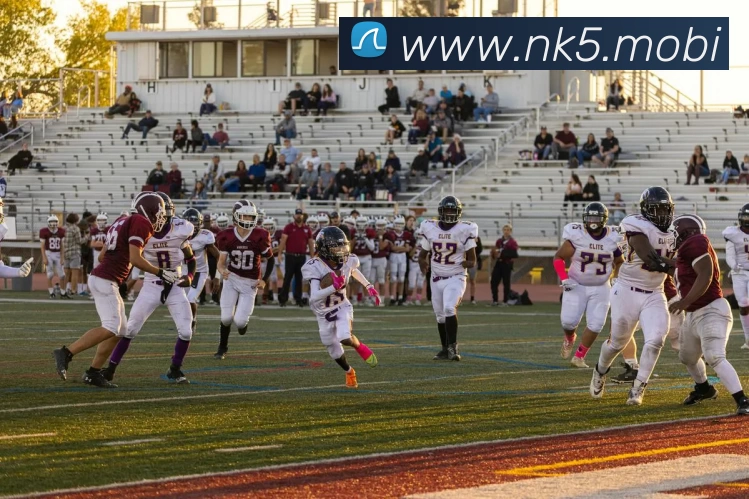 多媒体互动体验