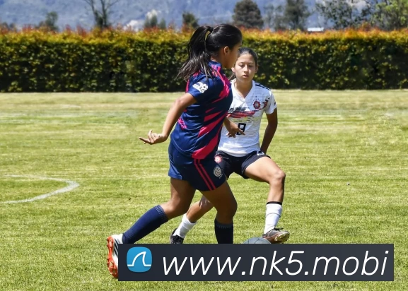 PG官方网站 - PG(中国)一站式服务官方网站APP 体育赛事宣传图